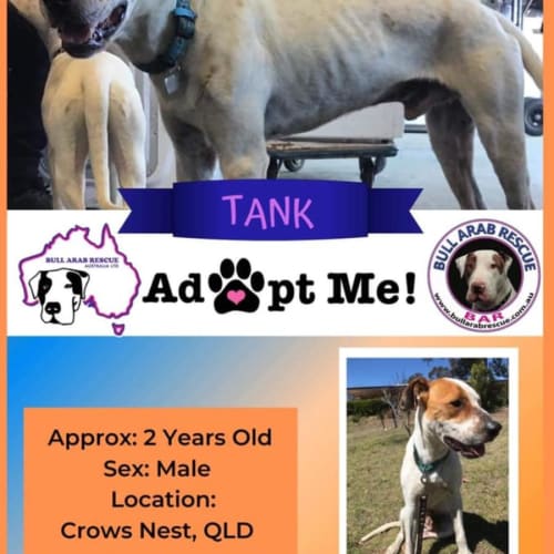Tank