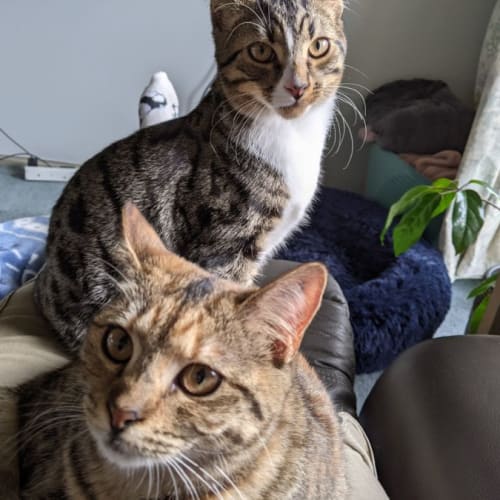 Winnie and Hazel