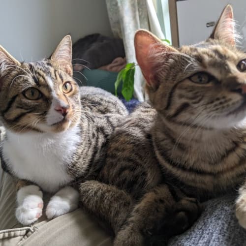 Hazel & Winnie