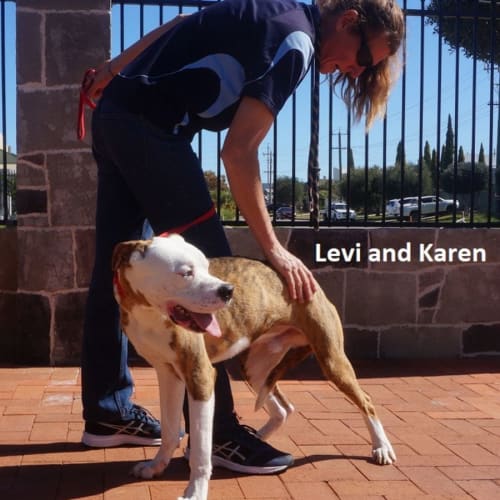 Levi
