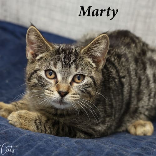 Marty