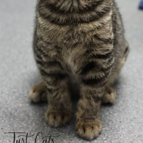 Meredith