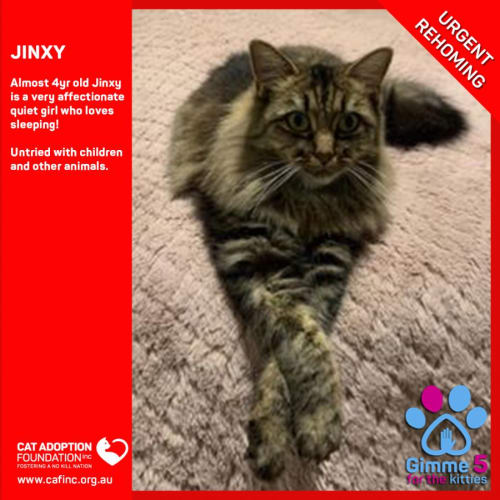 Jinxy