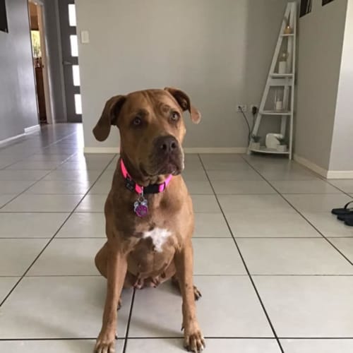 Ruby