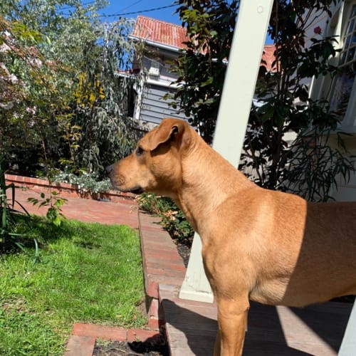 Hildie 