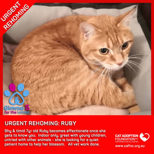 Ruby