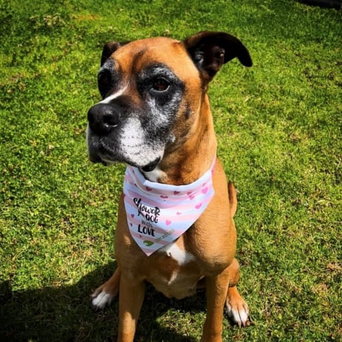 Bonnie