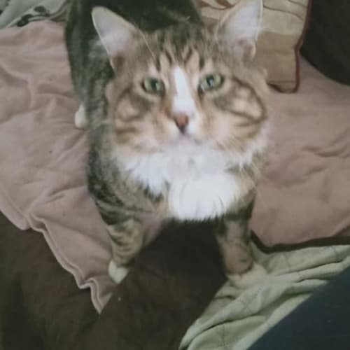 Charles 