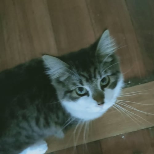 Hugo & Jessica Jones