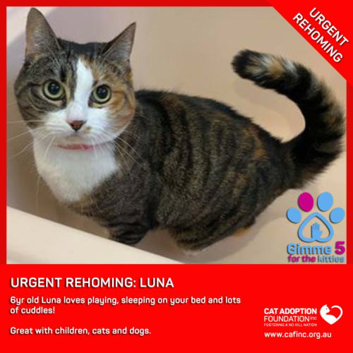 Luna