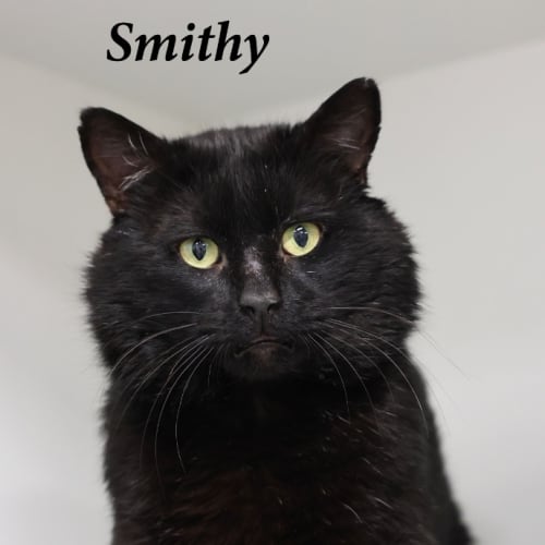 Smithy