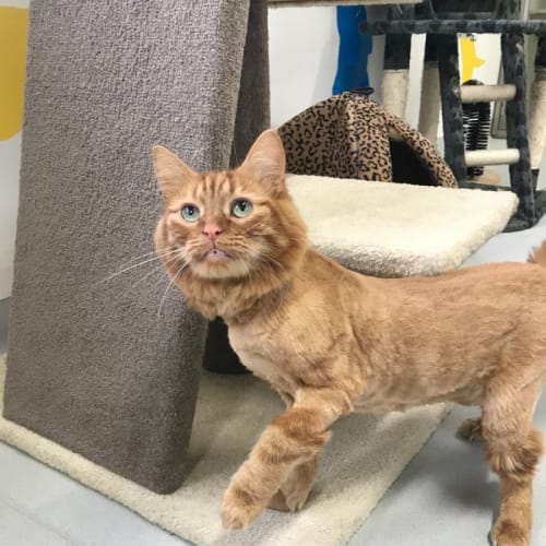 Benny F01857 😻