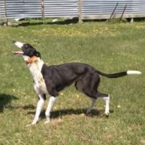 DeeJay - Can transport to you 