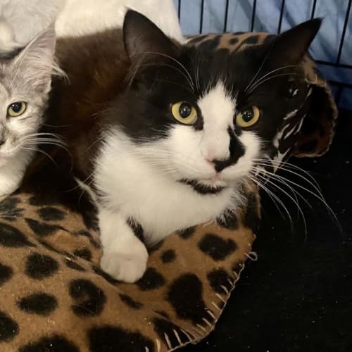 Zoyla & Randall South