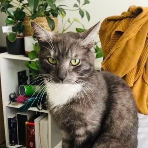 Gabriella - Located in St Kilda East