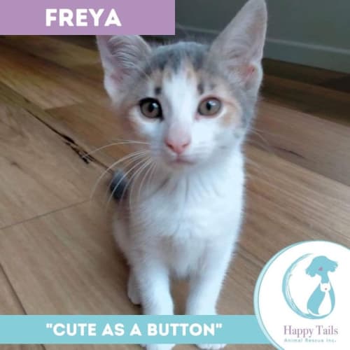 Freya