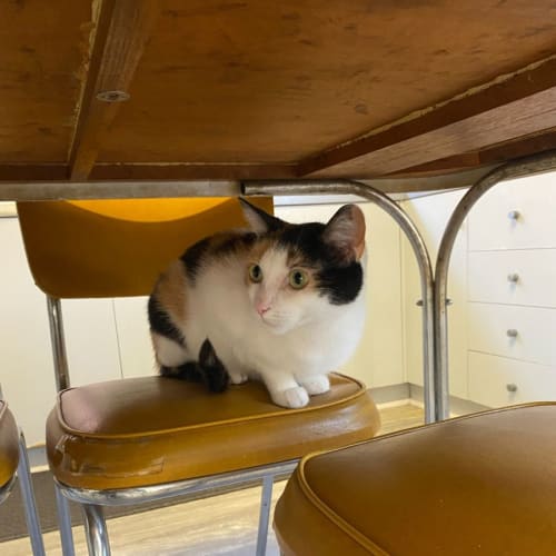Narla - Located in Coburg Nth