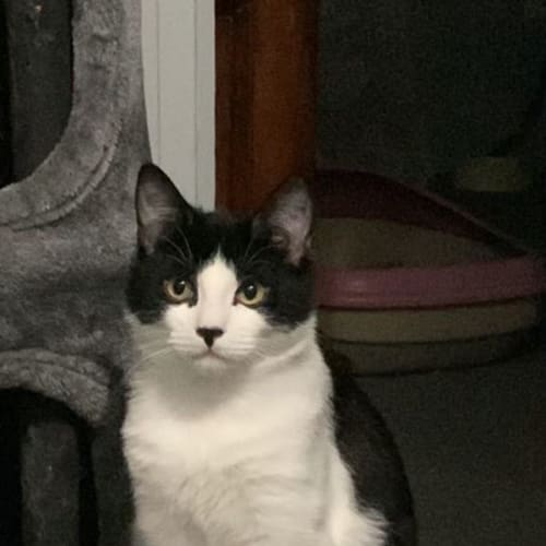 Meredith