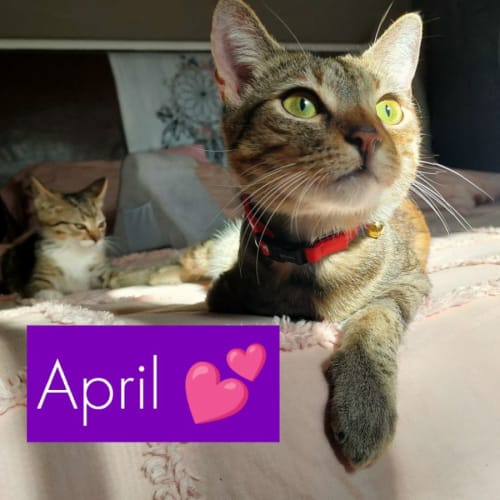 April 💕