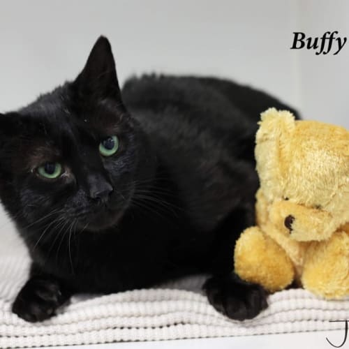 Buffy