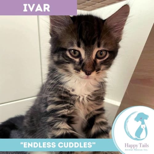 Ivar 