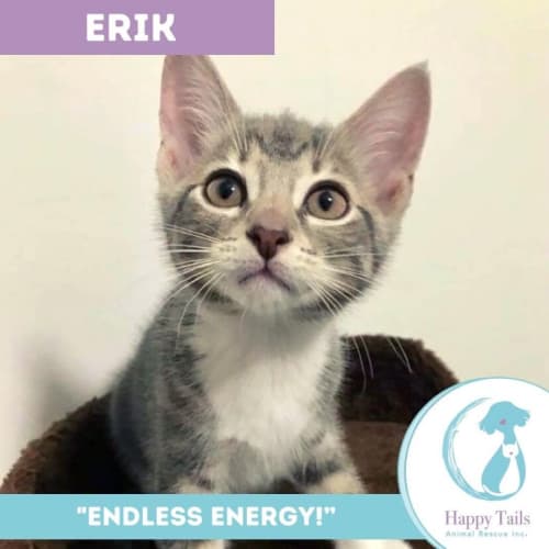 Erik