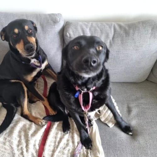 Tori & Ellie - Life is better shared