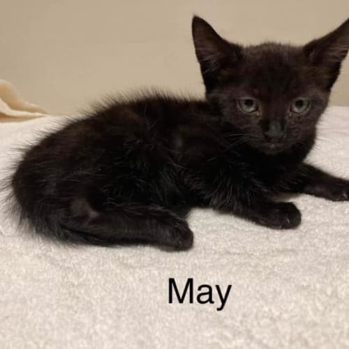 May