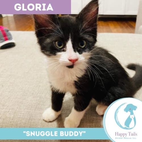 Gloria 