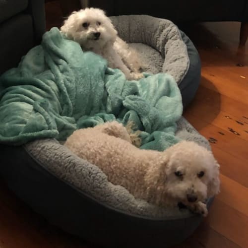 Molly & Tasha