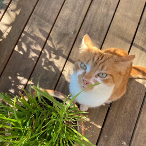 Charlie