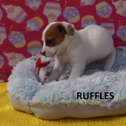 Ruffles