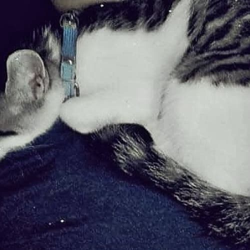 Nyko