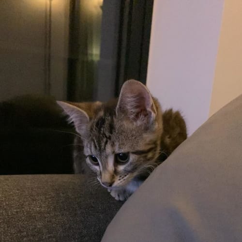 Cindy- Located in Hawthorn