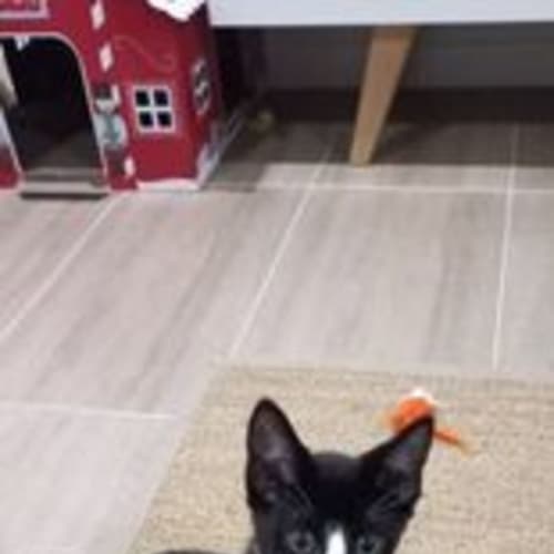 Tux