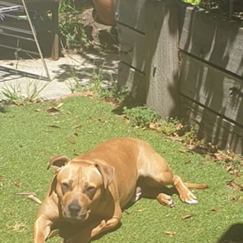 Max