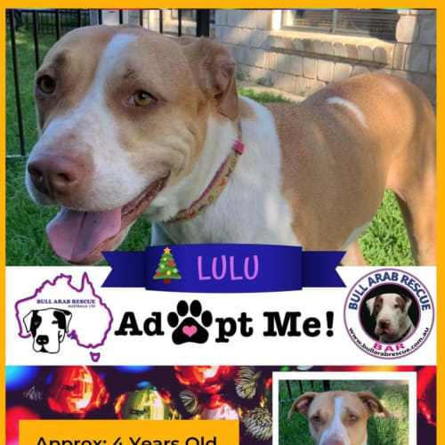 Lulu
