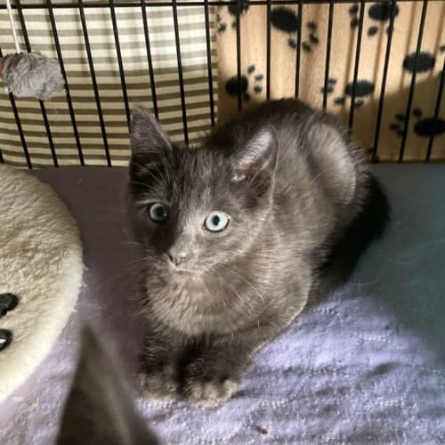 Louise…..Thelma adopted! 