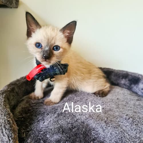 Alaska