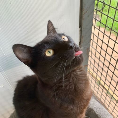 Salem