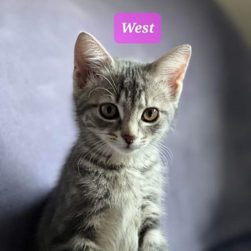 West