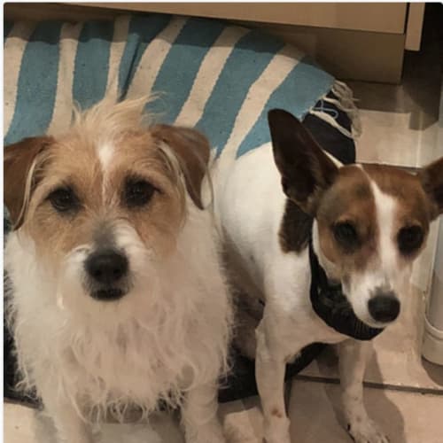 Rosie and Impi