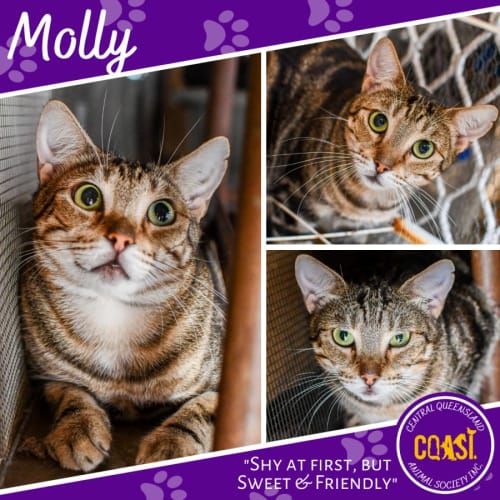 Molly