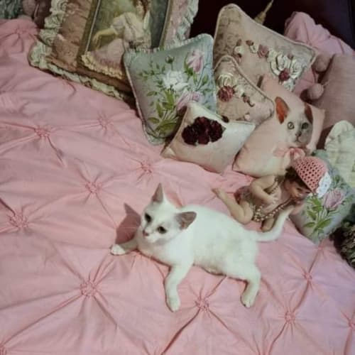 Betty white 