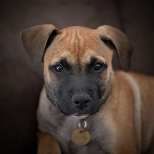 Skye