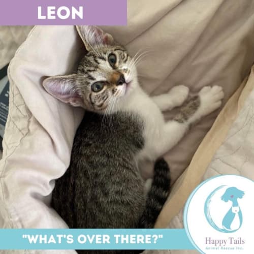 Leon