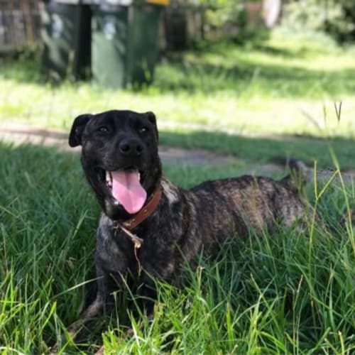 Luna