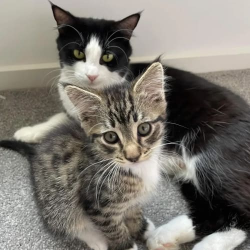 Mimi & Morgan (Located in Cranbourne)