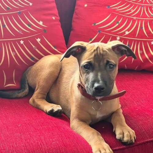 Jean-Luc 🥰