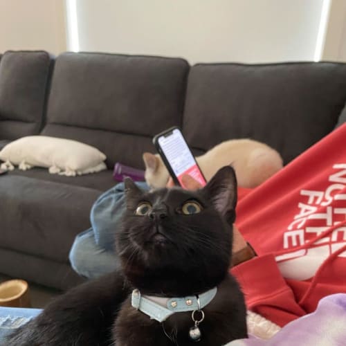 Vader